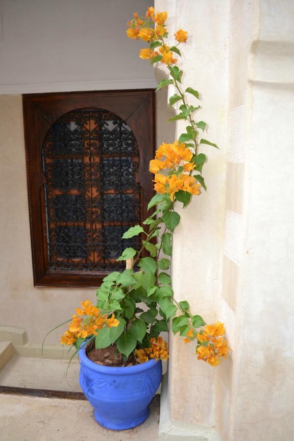 Riad Riva Marakéš Exteriér fotografie